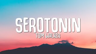 Tom Walker  Serotonin Lyrics [upl. by Luy]