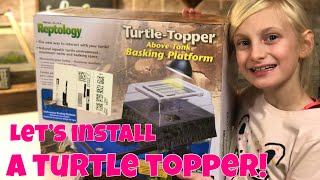 Installing a Reptology Turtle Topper [upl. by Leahcimauhsoj]