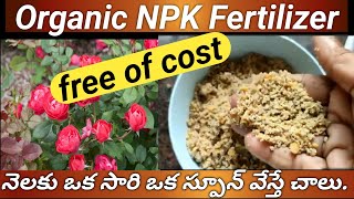 రూపాయి ఖర్చు లేదు6 నెలలు స్టోర్ చేసుకోవచ్చుHome made Organic NPK Fertilizer gardening gardentips [upl. by Boehmer984]