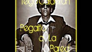 Pegaito a La Pared  Tego Calderon HOT NEW SONG [upl. by Karrie182]