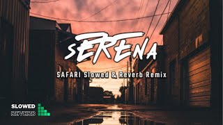 Serena  Safari  hakan akkus remix  slowed amp reverb  Lyrics [upl. by Isidore]