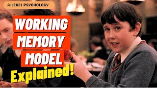 Working Memory Model EXPLAINED  AQA Psychology  Alevel [upl. by Neelrak]