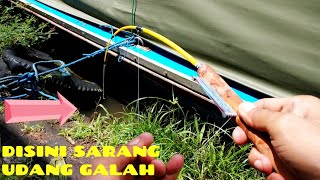 Mancing Udang Galah Cuma di Lobang ini mana bisa [upl. by Map604]