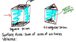 Prisms Lesson Geometry Concepts [upl. by Schott133]