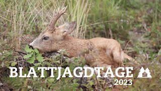 Blattjagdtage 2023 powered by JAGD amp HUND Blattjagd auf den Rehbock  unsere Jagd [upl. by Yedrahs]