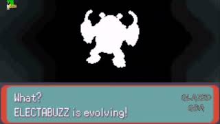 Electabuzz evolve into Electivire POKEMON GLAZED GBA [upl. by Halimaj]