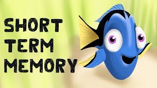 Short Term Memory Free Test  Examples [upl. by Aigil86]