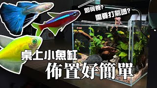 新手養魚第一缸馬上上手魚缸佈置好簡單【憩魚水族】 [upl. by Ribble]