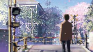 5 Centimeters Per Second Movie Review  Makoto Shinkai  Netflix [upl. by Malvina216]