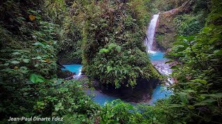 Blue Falls of Costa Rica  Compilation 2024 [upl. by Anwahs]