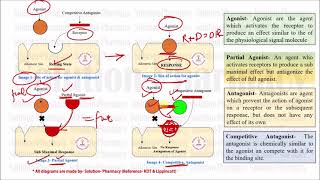 Class 36 Competitive and Noncompetitive antagonist  Medicinal Chemistry 01  What is Antagonist [upl. by Gwen757]