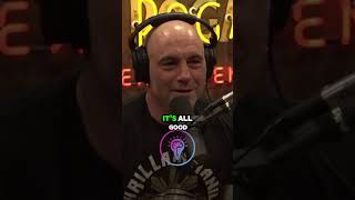 Dave Chappelle Has the Funniest Intro Ever on Joe Rogan 😂  shorts joerogan subscribe [upl. by Donall]