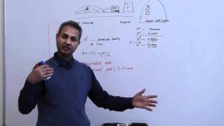 Immunology Neutrophil Lecture 3 Part 8 [upl. by Eniladam]