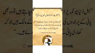 Molana Jalal Ud Deen Roomi ki baatin roomiqoutes [upl. by Brasca]