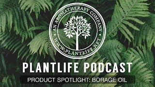 What is Borage Oil  Plantlife Podcast 25 [upl. by Cohbert189]