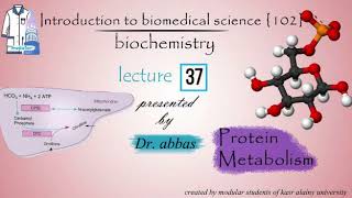 Biochemistry  Dr Abbas  Module 102  Lec 37 Protein metabolism [upl. by Nnylimaj505]