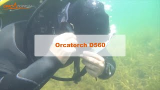 OrcaTorch D560 Affordable Dive Light Small and Light Weight [upl. by Nwahsyd]