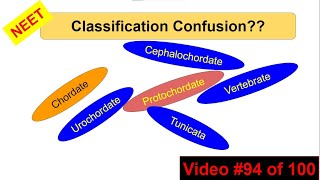 NEET 2024 FAQ Animal kingdom  All vertebrates are chordates but all chordates are not vertebrates [upl. by Elatsyrc234]