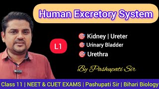 L1 Human Excretory System  Class 11 NCERT Biology  NEET amp CUET EXAMS  Pashupati Sir [upl. by Tzong]