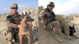 Two Airmen And Their Bomb Dogs In Afghanistan [upl. by Hedgcock]