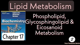 Lippincott Biochemistry  Chapter 18  Lipid Metabolism [upl. by Idnis697]