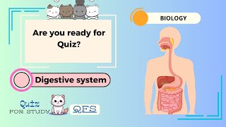 Biology Quiz Digestive System for High school amp college  IGCSE MCQs for Exam or Test 15 Questions [upl. by Yrtnahc]