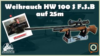 Weihrauch HW 100 S FSB auf 25m [upl. by Hgielrac287]