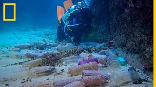 Aquí está toda la BASURA PLÁSTICA que está tirando La Tierra  National Geographic en Español [upl. by Keemahs15]