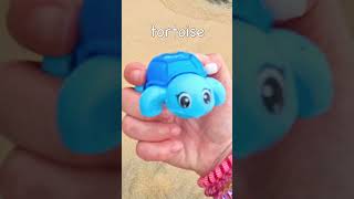 Beach Fun  Learn Animal Names Dolphin Chick Tortoise Octopus Hippo Starfish Raccoon [upl. by Tnayrb851]