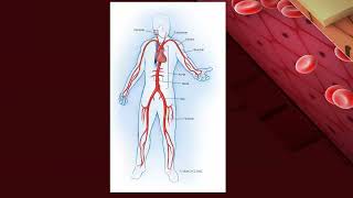 Takayasu arteritis Dr Salma Ashraf MD internal Medicine amp rheumatology Ain Shams University [upl. by Noraf]