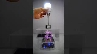 Tesla coil  glass box  hemar lighting bulb lightbulb teslacoil teslalovers [upl. by Al]