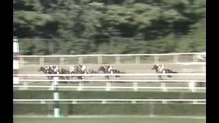 1990 Jockey Club Gold Cup  Flying Continental [upl. by Niggem]