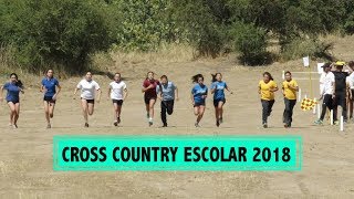 Cross Country Escolar 2018 [upl. by Lesoj761]