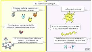 01 Metabolismo celular Introducción 2º Bachillerato [upl. by Anitsim]