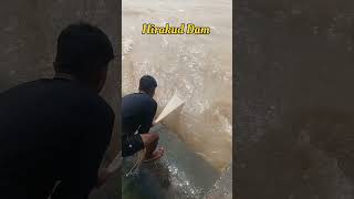 Hirakud Dam Re Machhadhara video hirakuddam fishing shorts video viralvideo short vlog [upl. by Akemyt]