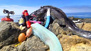 BLUE MEAT Salt and Pepper Fish Fillet Cooked on the Spot  Delicious Recipe and Fishing Tips [upl. by Edward]