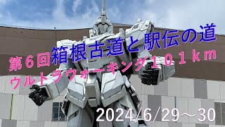 第６回箱根古道と駅伝の道ウルトラウォーキング１０１ｋｍ [upl. by Benni]