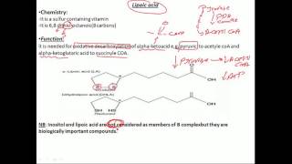 biochemistry vitamins inositol amp lipoic acid فيتامين بايوكيميستري [upl. by Ecnahoy]