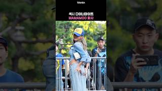 섹시 다이너마이트 화사 마마무 뮤직뱅크출근길 mamamoo hwasa [upl. by Teresita541]