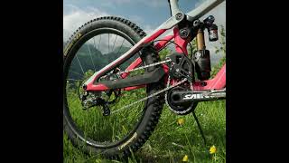 2025 Pivot Phoenix Downhill Bike [upl. by Oilerua]