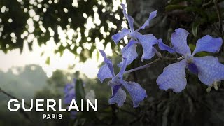 Orchidée Impériale Le Mythe  GUERLAIN [upl. by Ellehcor269]