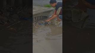 Clean up plastic leaves from Culvert drain cleaning shorts real remove culvert [upl. by Hastie]