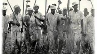 Convicts at the Ramsey amp Retrieve State Farms Lost John 1951 [upl. by Nyleimaj]