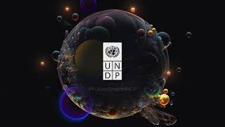 UNDPs 2022 Annual Report [upl. by Jankey]