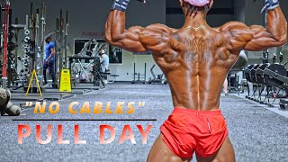 Bodybuilding Pull Day Workout No Cables [upl. by Ilohcin]