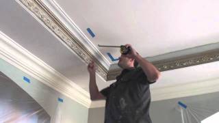 victorian ceiling commercial [upl. by Raf]