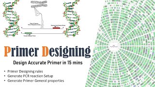 PCR Primer Designing  NCBI Primer BLAST  In silico PCR primer designing and validation [upl. by Rocca894]