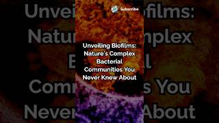 Unveiling Biofilms Natures Complex Bacterial Communities You Never Knew About biologymicrobes [upl. by Ahsinan]