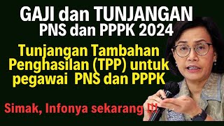 TPP Tambahan Penghasilan Pegawai PNS dan PPPK  Gaji dan Tunjangan PNS PPPK [upl. by Neelav]