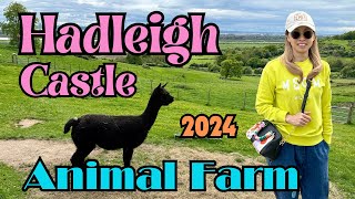 Exploring Animal Farm and Hadleigh Castle in 2024  history  nature  animals  countryside [upl. by Adair]